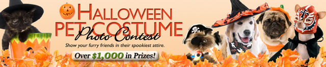 Halloween Pet Costume Contest