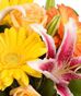 Floral Bouquets