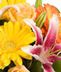 Floral Bouquets