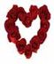 Valentine Flowers