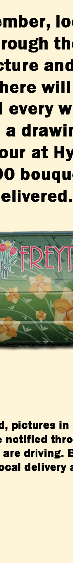 See Our Van, Take a Picture, Win a Prize!