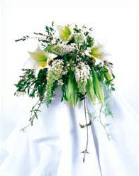 Weddings at Freytag's Florist