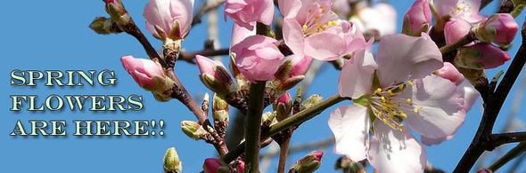 Freytag’s Florist