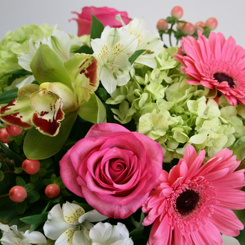 Mother's Day Flowers