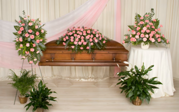 Carnation Suite