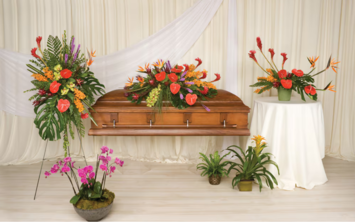 Tropical Suite