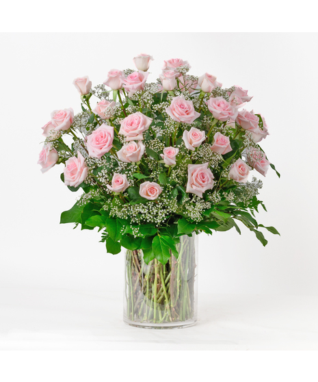 Thirty Six Pink Roses