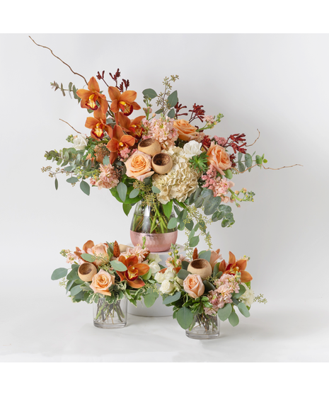 Apricot Blush Trio