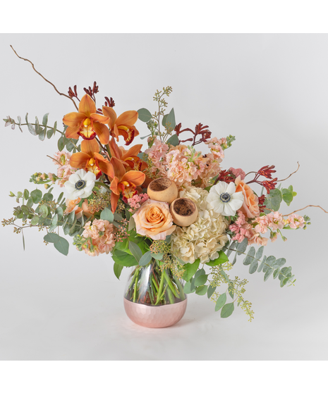 Apricot Blush