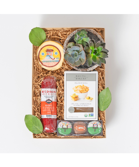 Football Succulent Crate