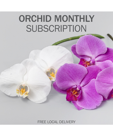 Monthly Orchid Plant Subscription