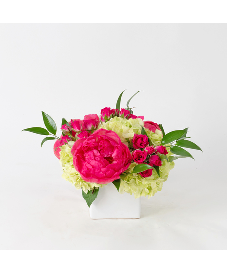 Peony Parfait