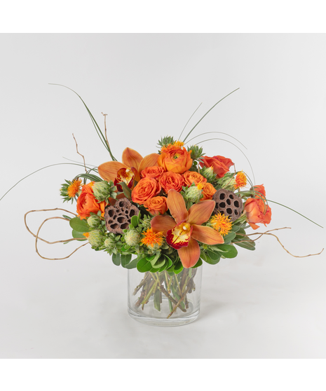 Persimmon & Sage