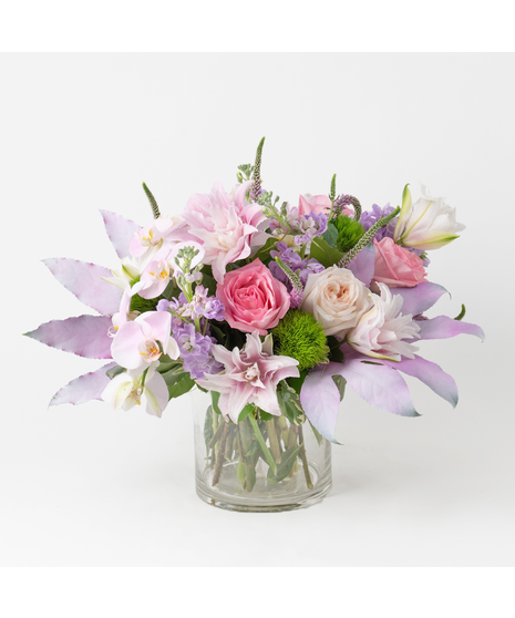Lavender Blush