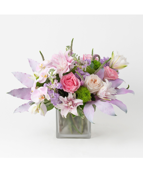 Lavender Blush
