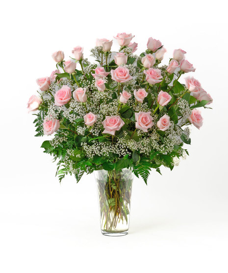Thirty Six Pink Roses