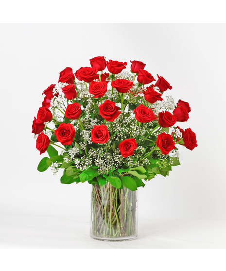 Thirty Six Red Roses