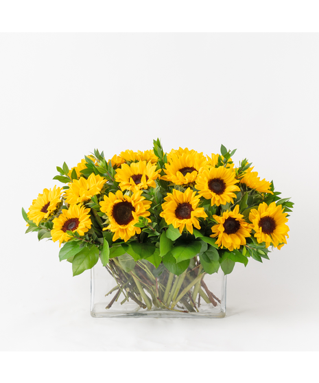 Featuring 22 large, vibrant sunflowers, this arrangement is a burst of sunshine in floral form.