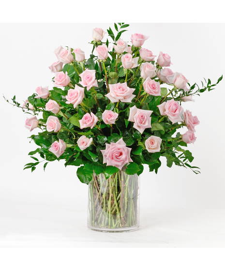 Forty Eight Pink Roses