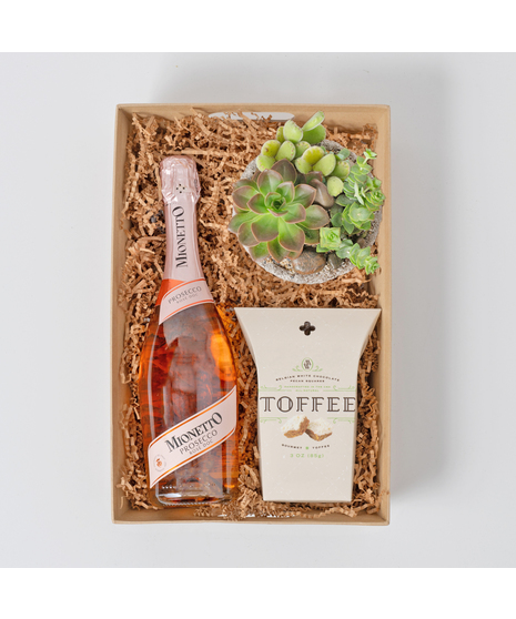 Choose between Josh Cellars Cabernet Sauvignon, Mionetto Prosecco Brut Rose, and La Marca Prosecco.