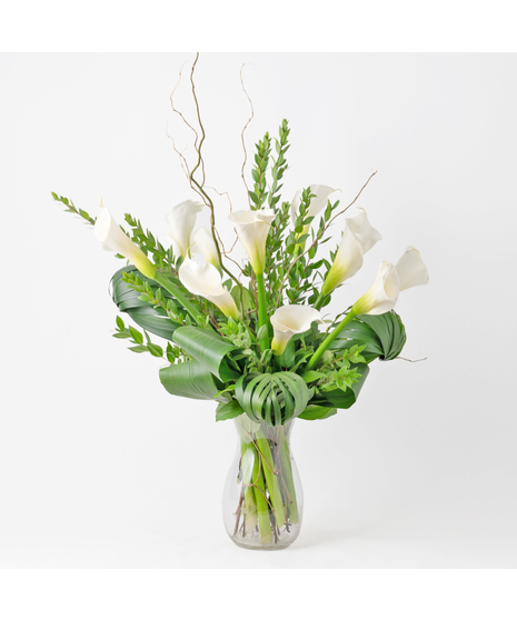 Calla Lily Fields