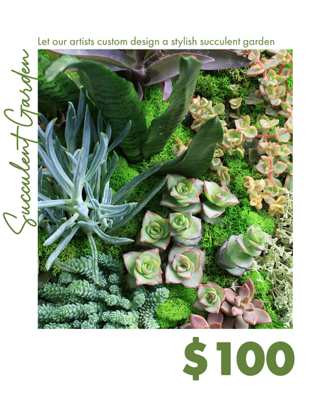 Custom Design Succulent Garden $100