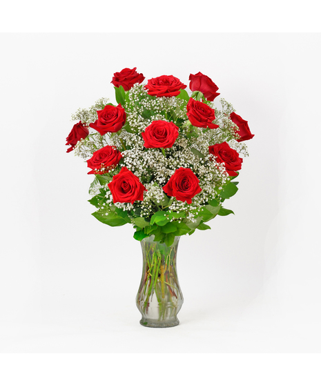 Red Dozen Roses