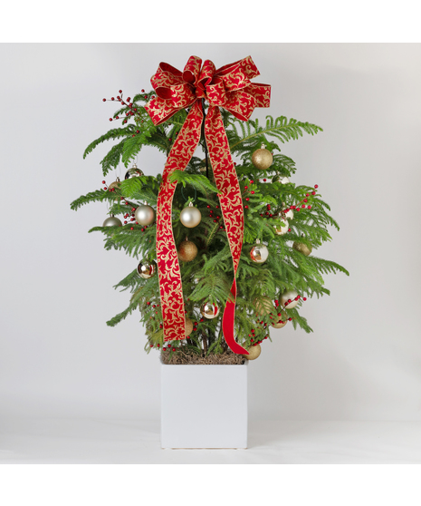 Large Decorated Norfolk Pine Tree