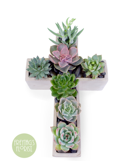 Concrete Planter Cross Succulent Garden | Austin TX-Freytag’s Florist 