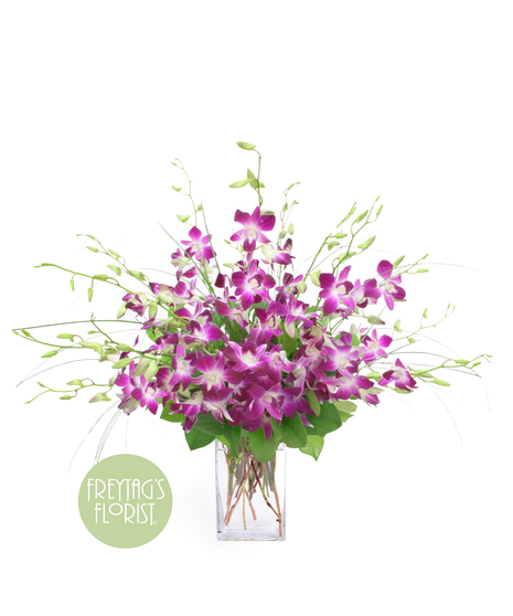 Purple Dendrobium Orchids