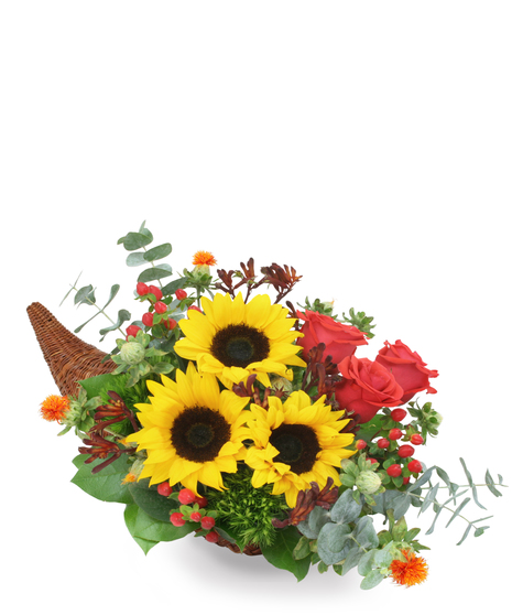 Bountiful Cornucopia