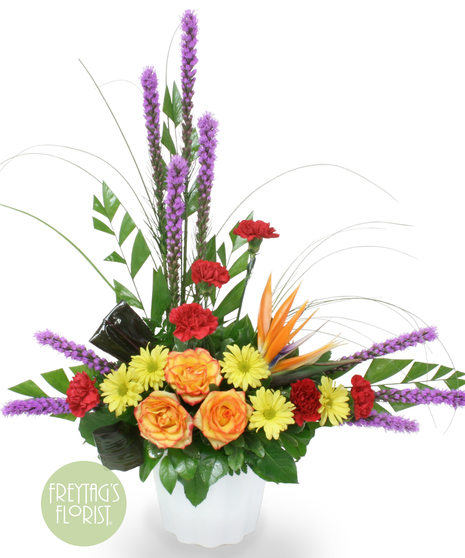 Illuminated Cross includes the most beautiful blooms that include liatrice, bird of paradise, pincushion protea, roses, bear grass, aspidistra leaves, and more.