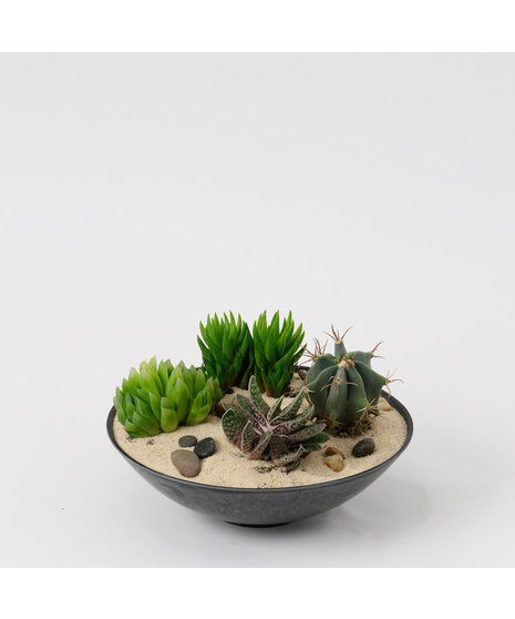 PRICKLY PASS