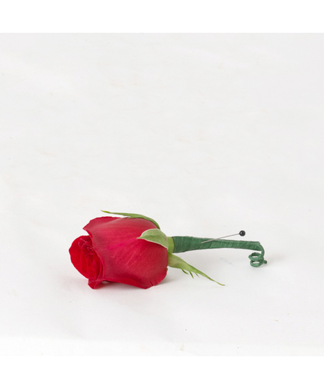 This simple boutonniere includes a rose bloom.