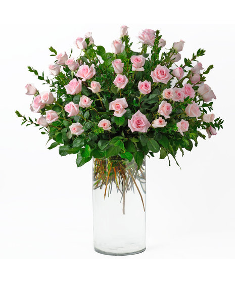 Sixty Pink Roses