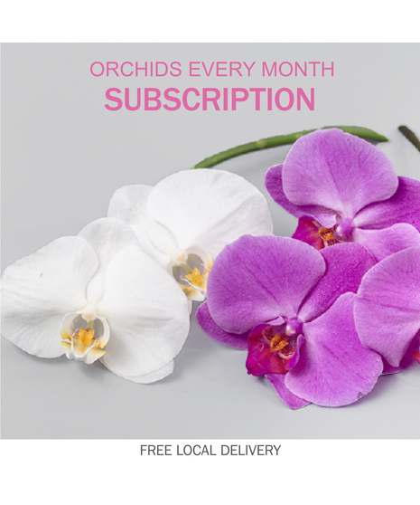 Bring effortless elegance into your home or office with our Monthly Orchid Subscription.