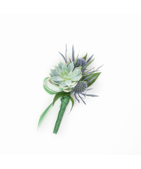 Succulent and Thistle Boutonniere