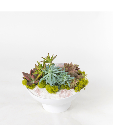 Sunset Beach Garden