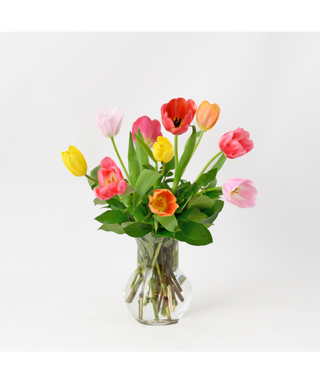 Ten Spring Tulips