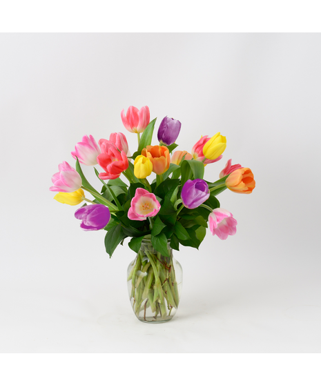 Twenty Spring Tulips