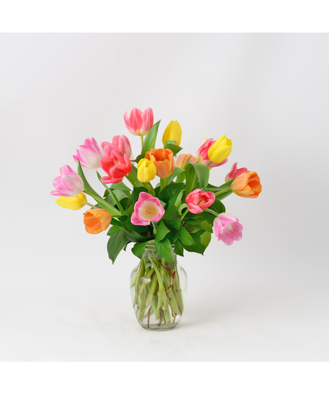 Twenty Spring Tulips