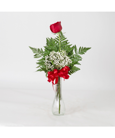 This simple bud vase includes a rose or carnation bloom, leather leaf, babies breath and a ribbon.
