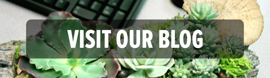 Visit Our Blog