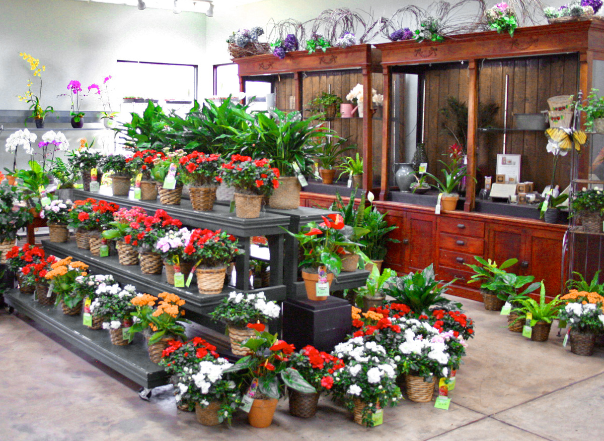 Take a step inside our bright, welcoming Austin showroom