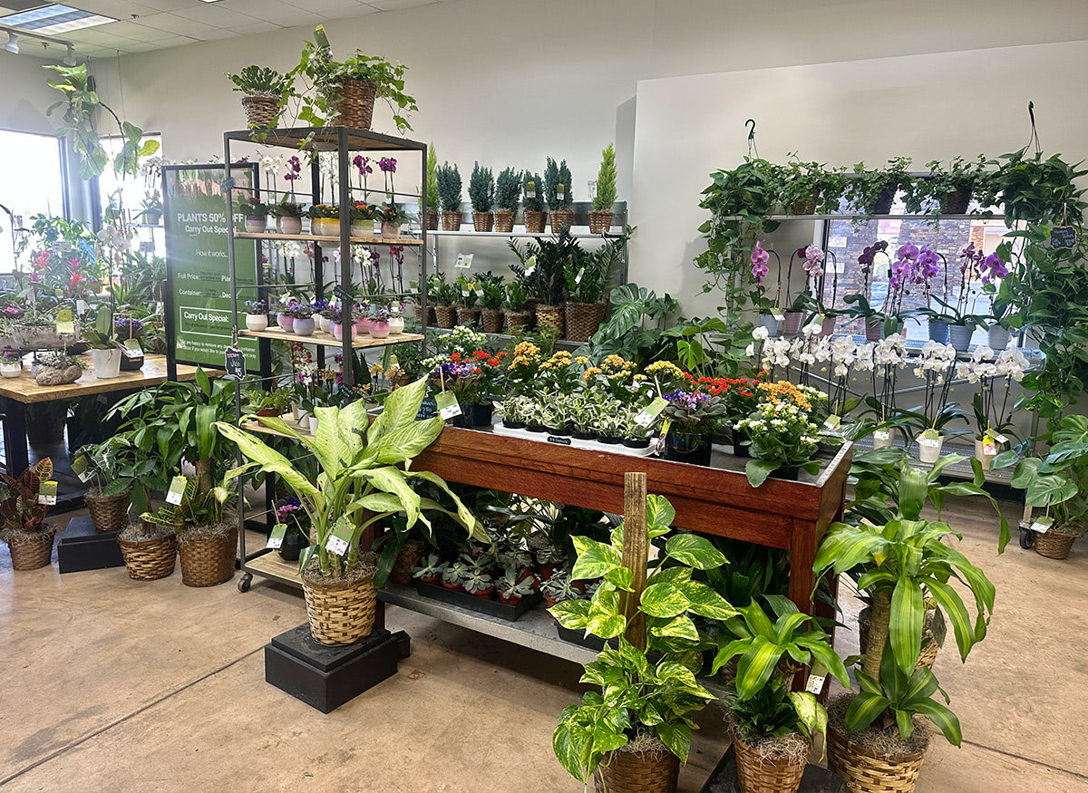 Take a step inside our bright, welcoming Austin showroom