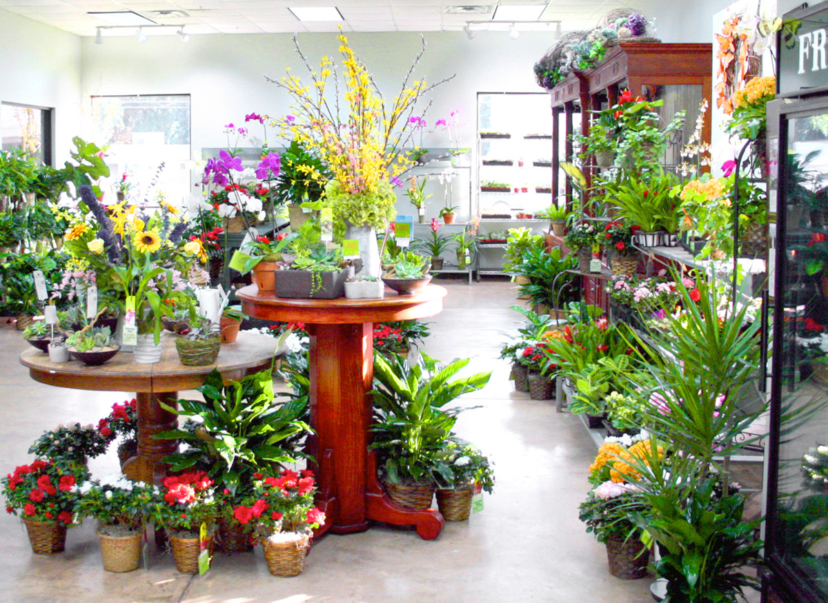 Gorgeous flower and plant arrangements in a wide range of pots and baskets